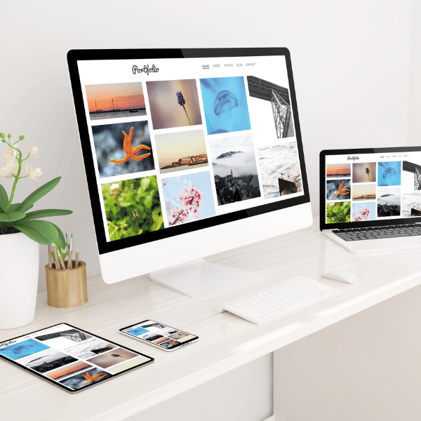 Portfolio Websites